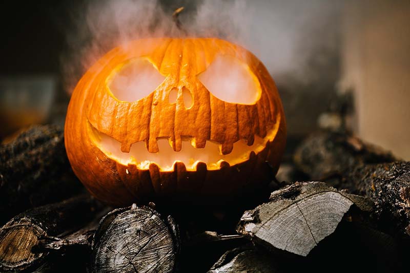 La calabaza es imprescindible en Halloween